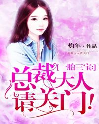 一胎三宝：总裁大人请关门